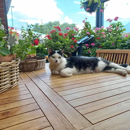 Il Loft Di Angela - & Me