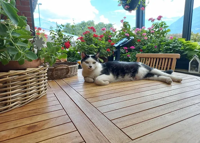 Il Loft Di Angela - You&me